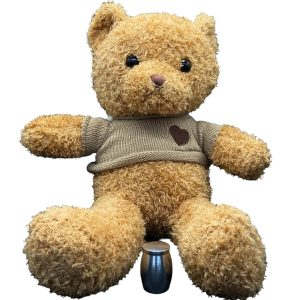 Teddy