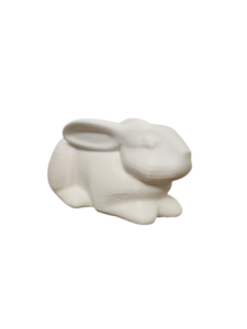 Conejo Blanco