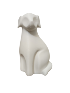 Perro Blanco
